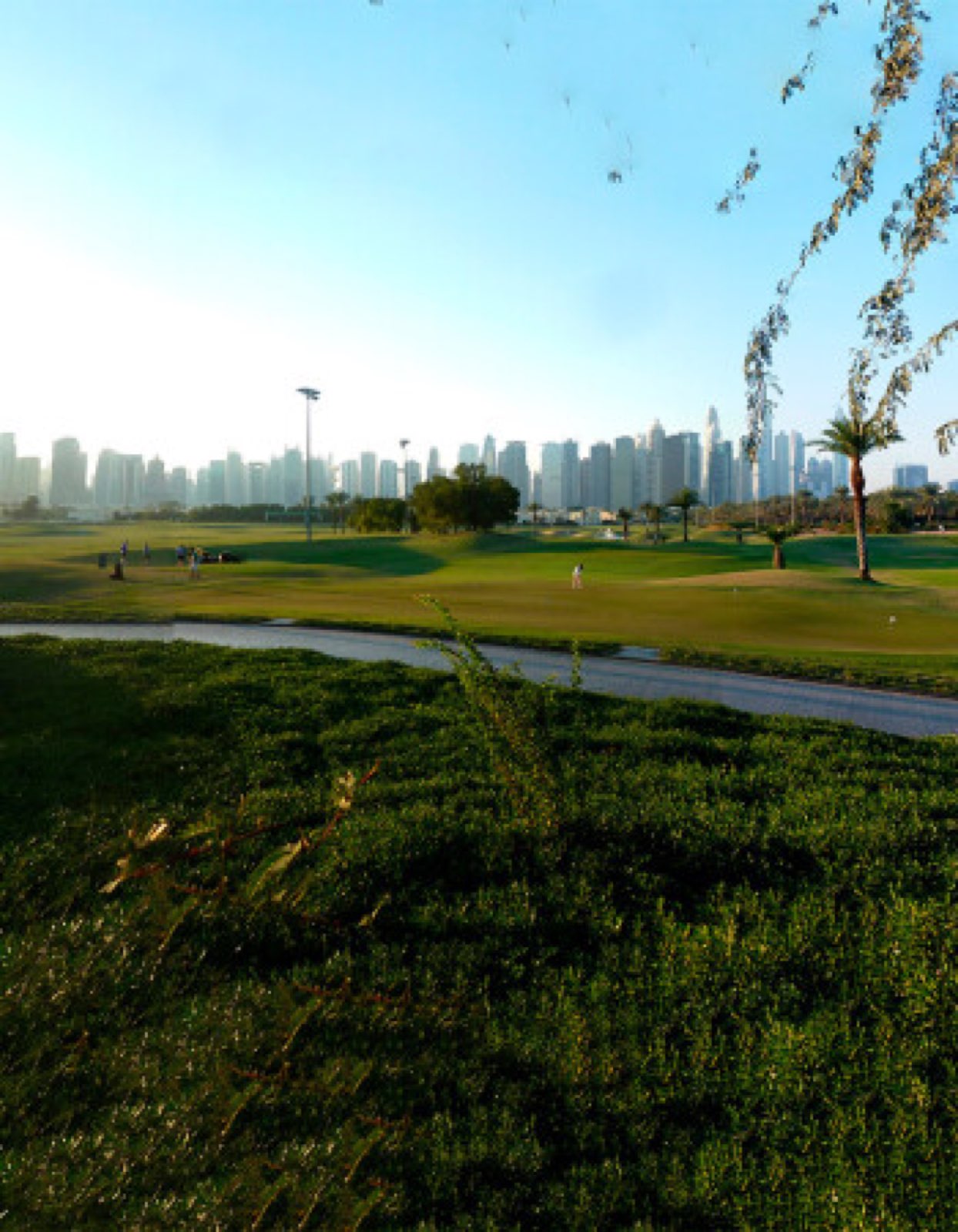 Emirates Hills