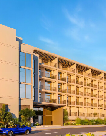 TownX Development